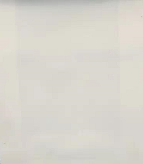 1562828265(1)